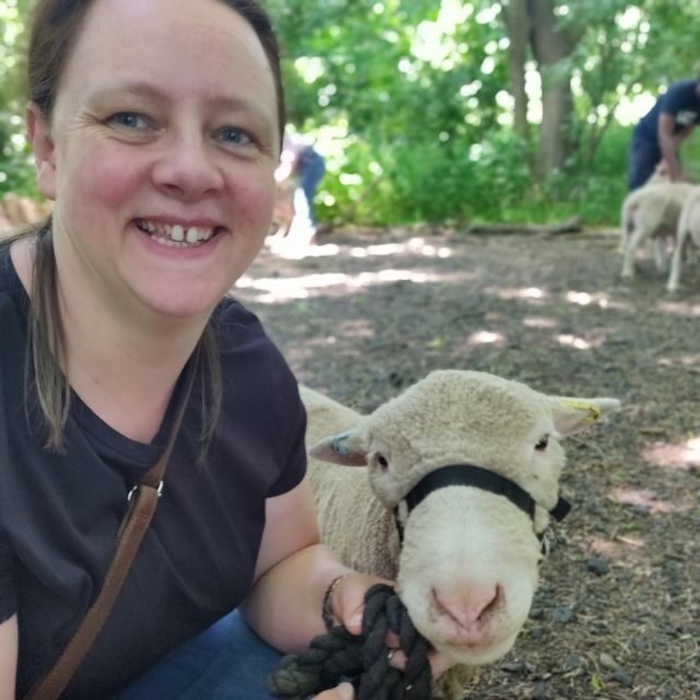 Shropshire: Sheep Trek with the Smallest Sheep in the World - Exploring the Sheep Trek Experience