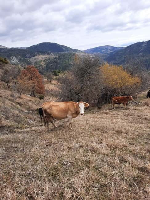 Shtegu i Vakëfëve (Trail of Holly Lands) - Unpacking the "Shtegu i Vakëfeve" Experience