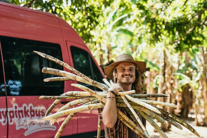 Shuttle from La Fortuna to San Jose - Is This Shuttle Right for You?