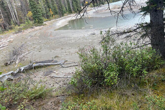 Shuttle Service and Tours - A Detailed Look at the Shuttle Service Experience