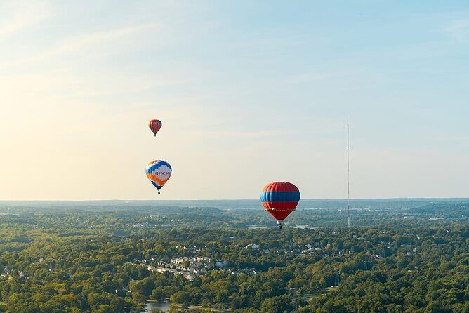 Shuttle Service to Forest Park Balloon Glow - The Itinerary: What You Can Expect