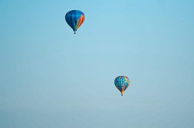 Shuttle Service to Forest Park Balloon Glow - Who Should Consider This Tour?