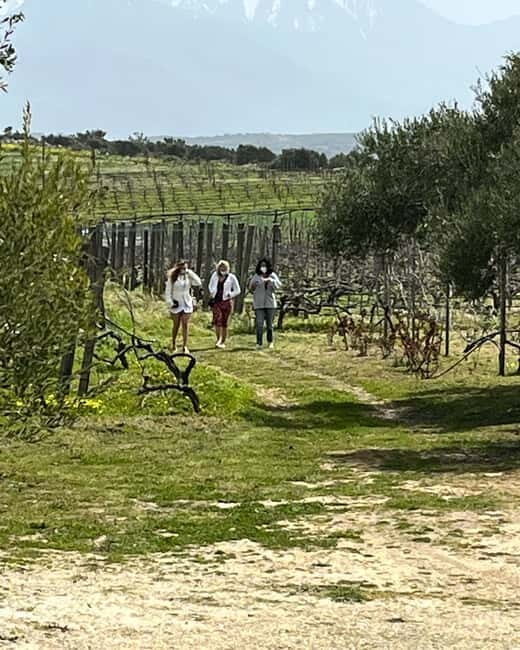 Shuttle & Wine Experience at Lyrarakis Winery - An In-Depth Look at the Lyrarakis Winery Shuttle & Wine Experience