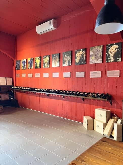Shuttle & Wine Experience at Lyrarakis Winery - The Main Event: Wine Tasting on the Terrace