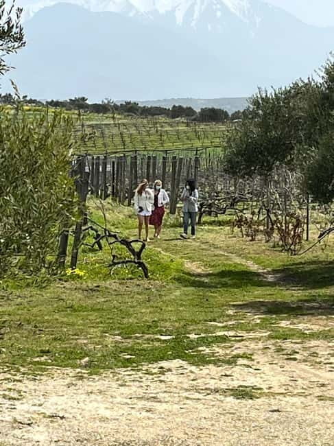 Shuttle & Wine Experience at Lyrarakis Winery - The Practicalities: Timing, Group Size, and Cost