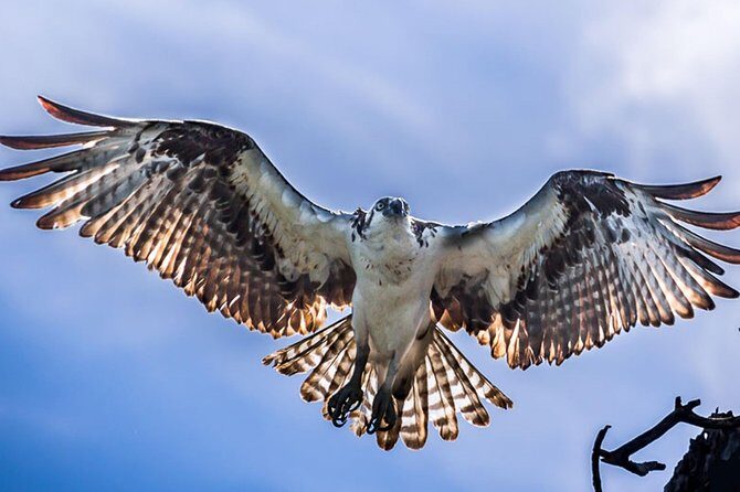 Sian Ka'an Adventure Full Day Trip to Punta Allen - An In-Depth Look at the Sian Kaan Full Day Trip