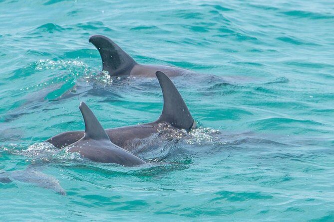 Sian Ka'an Adventure Full Day Trip to Punta Allen - FAQ: Common Questions