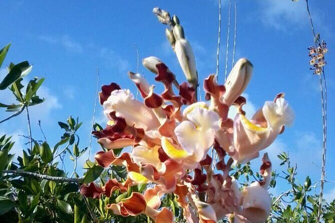 Sian Ka'an Biosphere Ancient Canals Expedition - FAQ: Your Questions About the Sian Kaan Biosphere Canals Tour