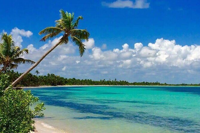 Sian Ka'an Biosphere Full Day Boat Tour with Lunch - The Itinerary Breakdown: What to Expect