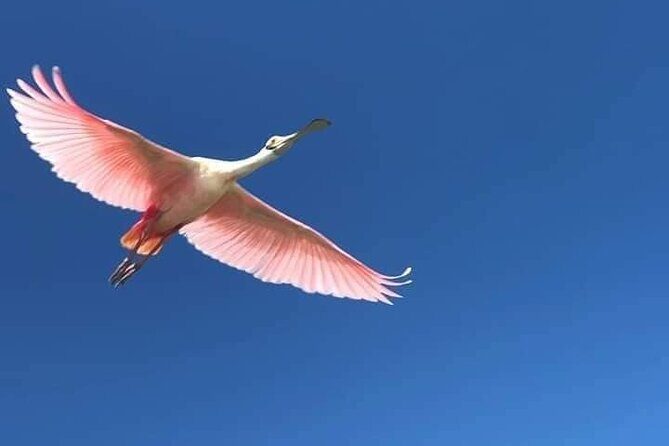 Sian Ka'an Biosphere Full Day Boat Tour with Lunch - Who Will Love This Tour?