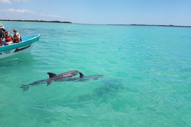 Sian Ka'an Biosphere Full Day Boat Tour with Lunch - Final Thoughts