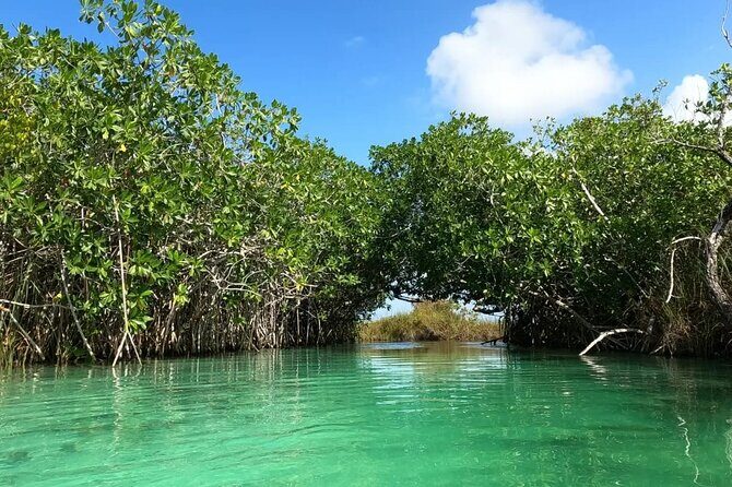 Sian Ka'an Biosphere Reserve Guided Tour - The Value of the Tour