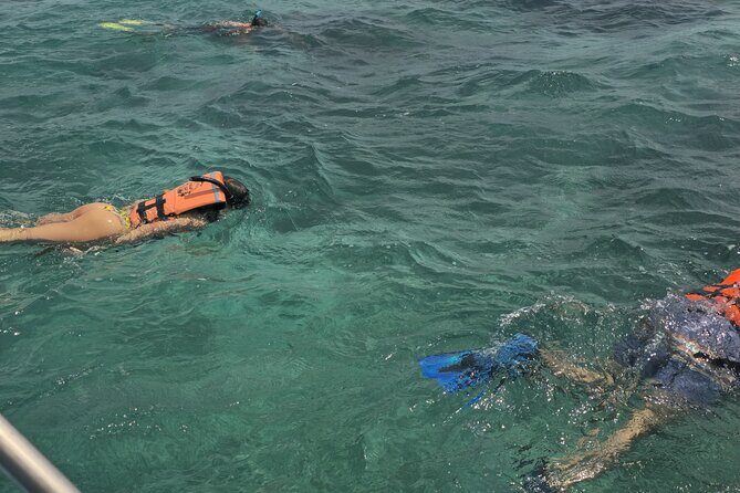 Sian Ka'an Biosphere Reserve Tour from Cancun - A Deep Dive Into the Experience