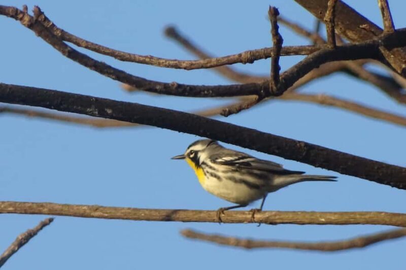 Sian Ka'an: Bird Watching & Mayan Herbal Medicine - FAQs