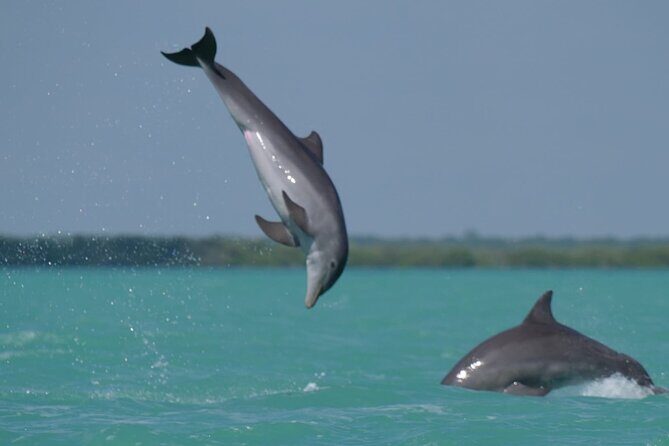 Sian Ka'an Classic - An In-Depth Look at the Sian Kaan Classic Tour