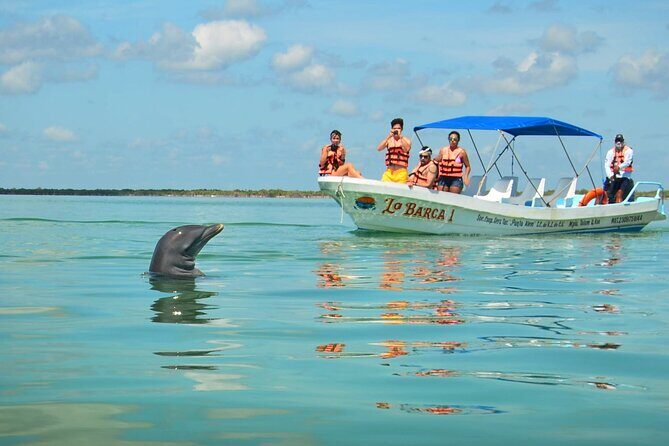 Sian Kaan Eco Adventure! Round Transportation From Playa Del Carmen - Key Points