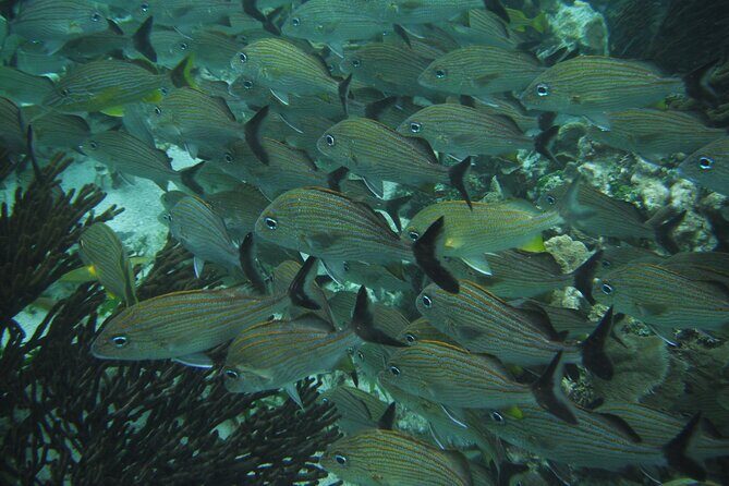 Sian Kaan Eco Adventure! Round Transportation From Playa Del Carmen - Final Thoughts: Who Will Love This Tour?