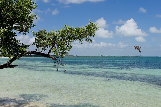 Sian Kaan Eco Adventure! Round Transportation From Playa Del Carmen - Frequently Asked Questions