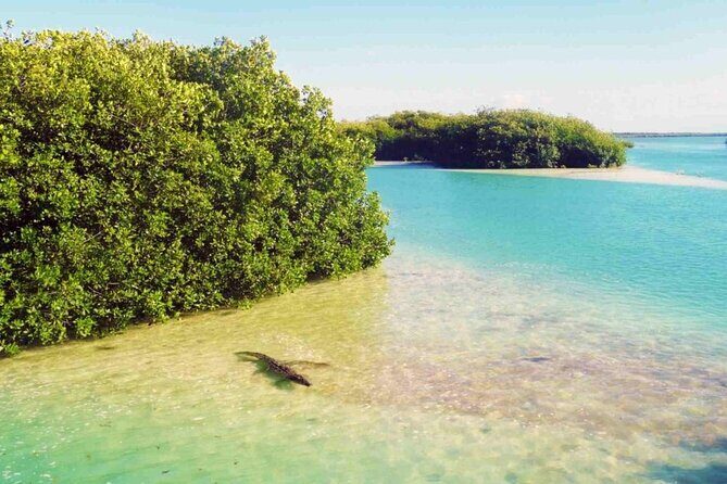 Sian Kaan Reserve Private Bike Tour - Key Points