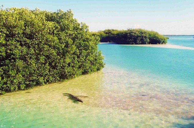 Sian Kaan Reserve Private Bike Tour - Authentic Experiences & Traveler Insights