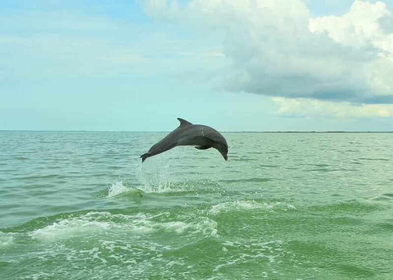 Sian Ka'an Reserve: Safari and Snorkeling Tour. - FAQ