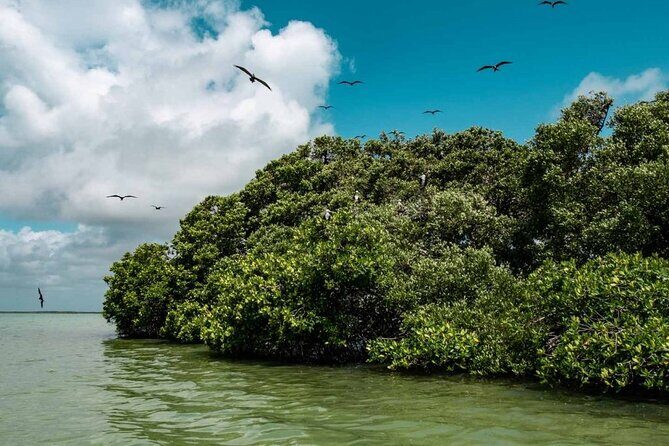 Sian Ka'an Reserve Tour - What to Expect from the Tour