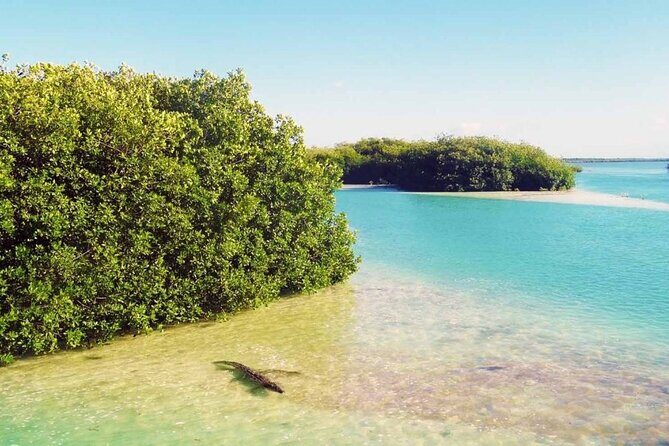 Sian Ka'an Reserve Tour - Authentic Experiences and Why They Matter