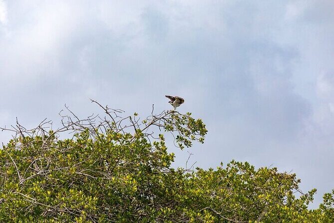 Sian Kaan Reserve Tour with Boat Trip and Maya Village Visit - Final Thoughts