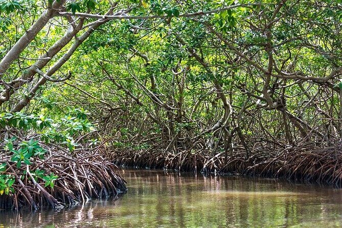 Sian Kaan Reserve Tour with Boat Trip and Maya Village Visit - FAQ