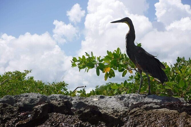 Sian Ka'an Tour (Private, Half Day) - Why You Should Consider This Tour