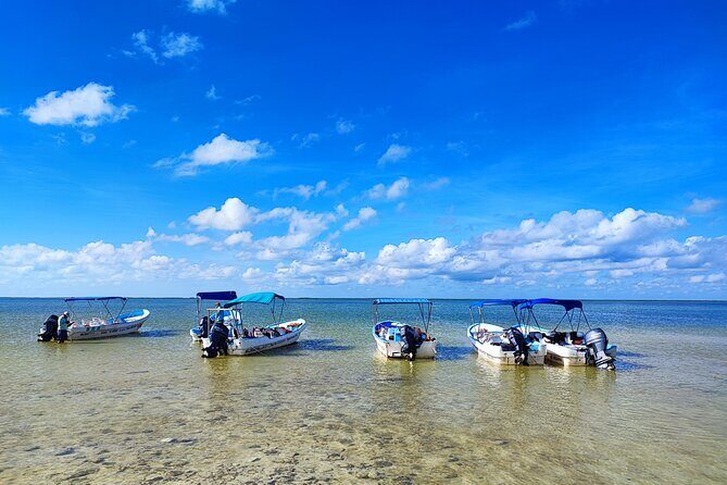 Sian Ka'an Trip from Playa del Carmen & Tulum - Final Thoughts