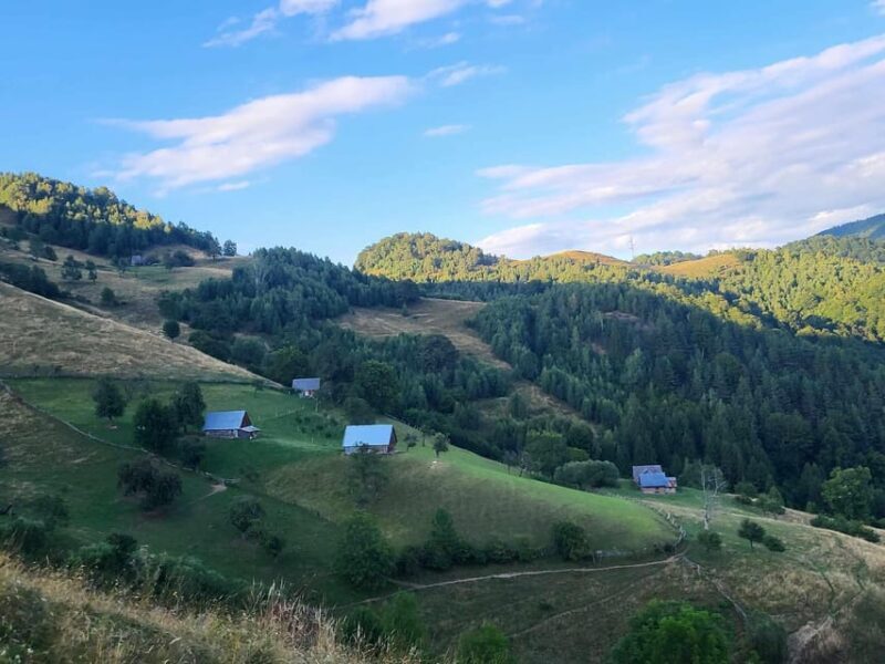 Sibiu: Cindrel Mountains Hike with Traditional Brunch - Key Points