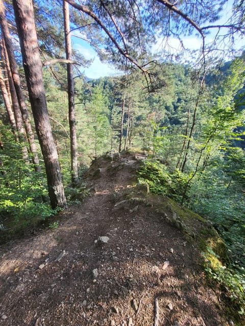 Sibiu: Cindrel Mountains Hike with Traditional Brunch - The Experience: What to Expect on This Mountain Adventure