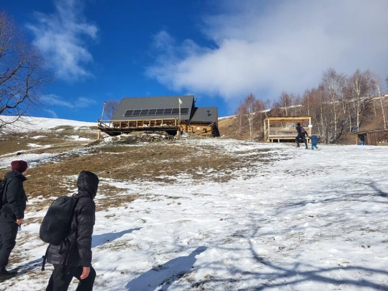 Sibiu: Cindrel Mountains Hike with Traditional Brunch - Who Will Love This Experience?