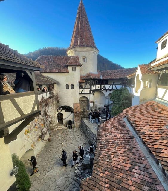 Sibiu: Dracula's Castle and Dino Park Day Trip - Discovering Draculas Castle in Bran