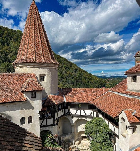 Sibiu: Dracula's Castle and Dino Park Day Trip - Rasnov: Dino Park and Fortress Options
