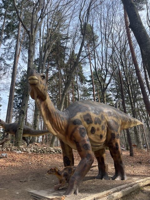 Sibiu: Dracula's Castle and Dino Park Day Trip - Return Journey and Final Reflections