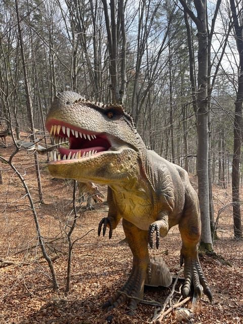 Sibiu: Dracula's Castle and Dino Park Day Trip - Practical Details and Tips