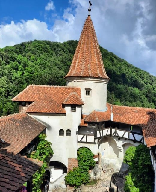 Sibiu: Dracula's Castle and Dino Park Day Trip - Authentic Insights from Travelers