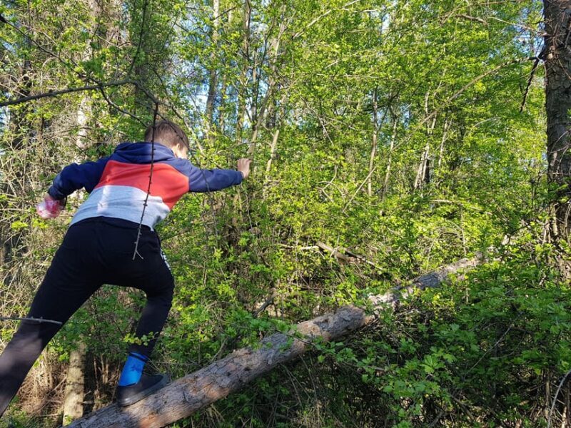 Sibiu panorama by evening, tour of Gusterita Hill - Who Will Love This Tour?
