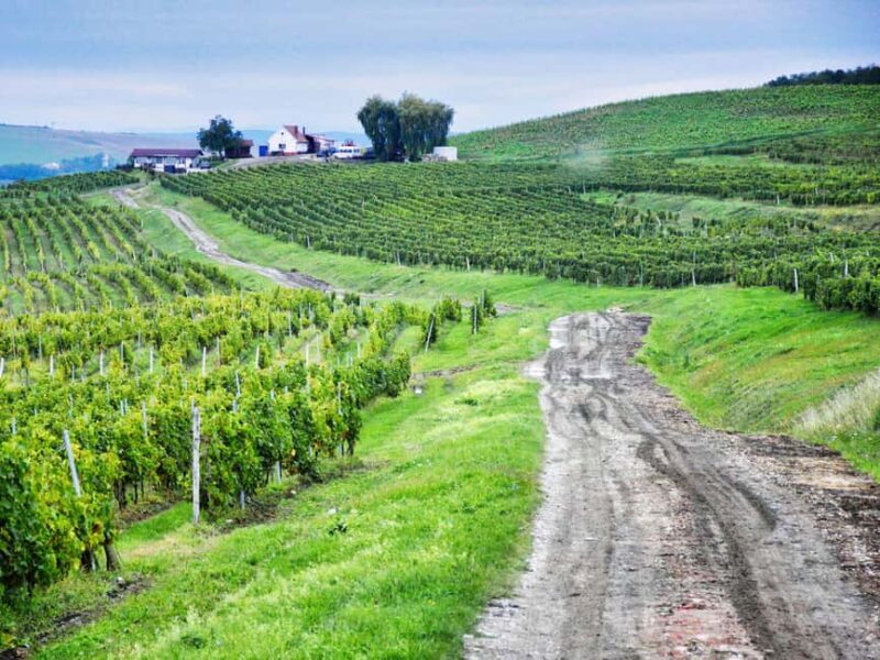 Sibiu & wine tasting tour (from Cluj) - Starting the Day: Comfortable Pickup and Scenic Drive
