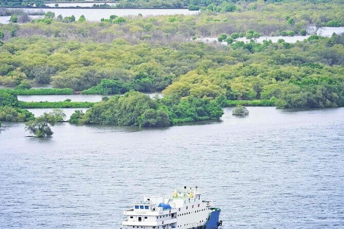 SIC South Goa Sightseeing Tour - The Sum Up