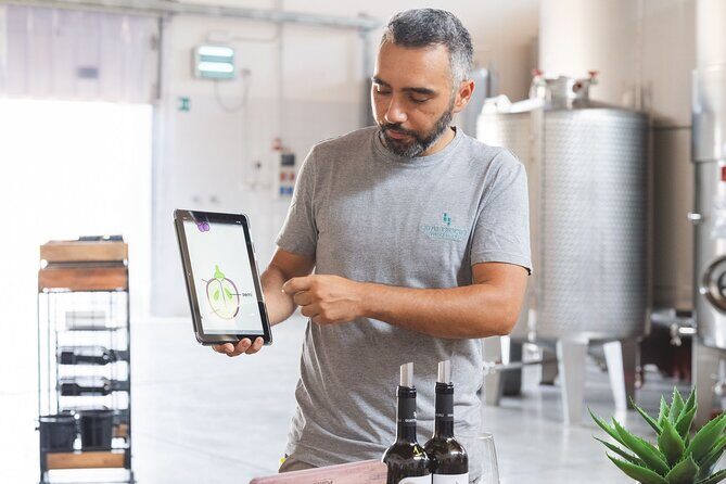 Sicilian Winery Experience in Alcamo - Key Points