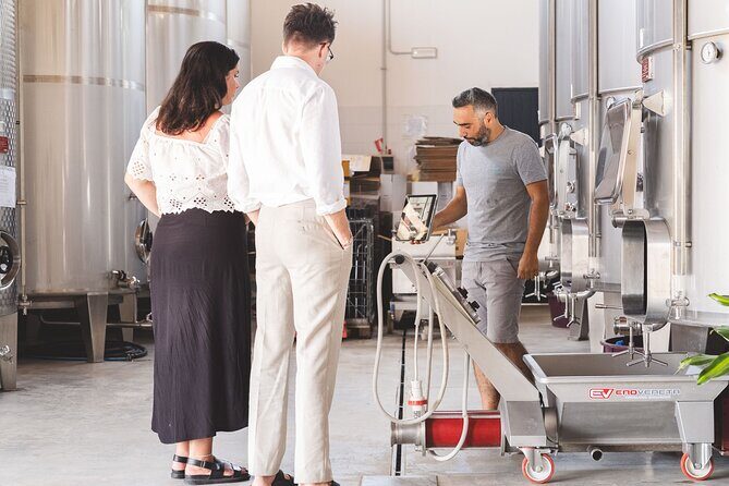 Sicilian Winery Experience in Alcamo - A Close Look at the Winery Tour