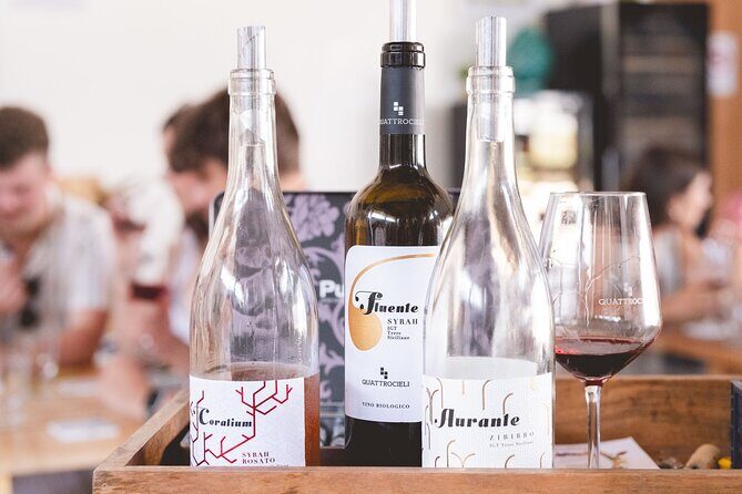 Sicilian Winery Experience in Alcamo - The Sum Up