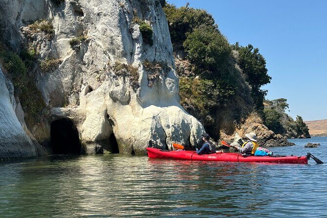 Sick Day Midweek Kayak Tour on Tomales Bay - What Sets This Tour Apart?