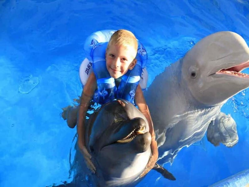 Side/Alanya: Swimming with Dolphins and Dolphin Show - How Does It Compare to Similar Experiences?