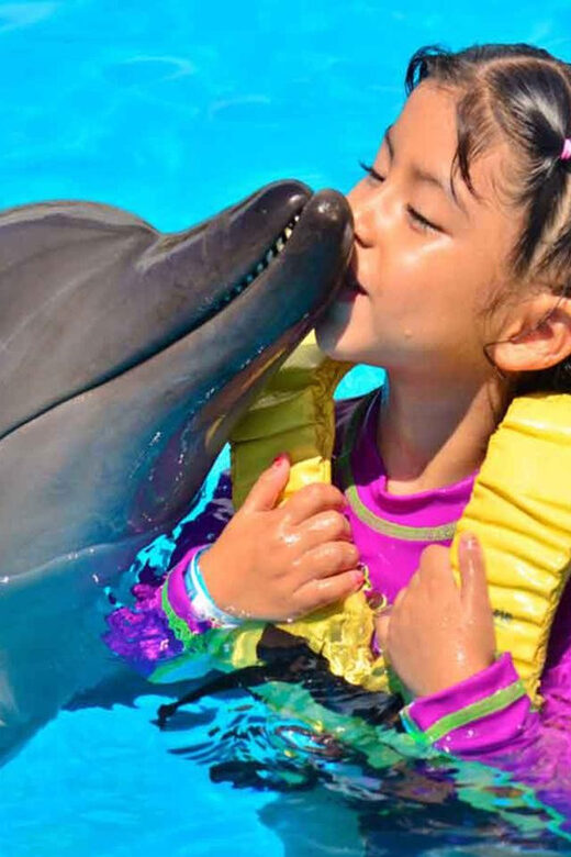 Side/Alanya: Swimming with Dolphins and Dolphin Show - Final Thoughts