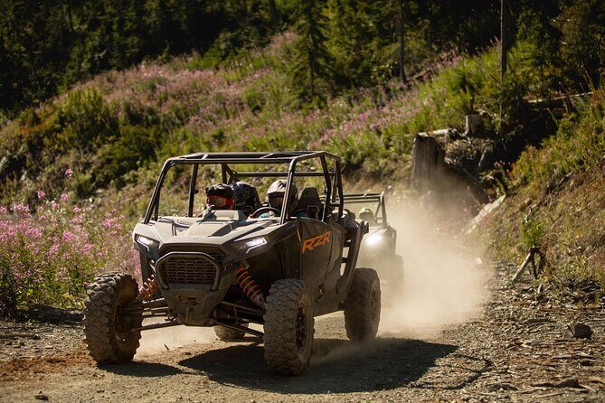 Side-by-Side Off-Roading Adventures on Cougar Mountain - An In-Depth Look at the Off-Road Adventure
