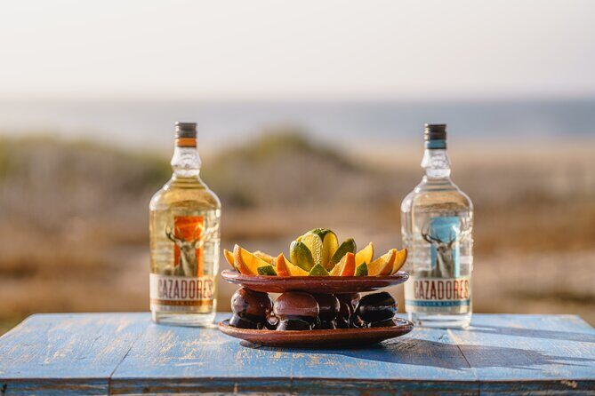 Side by Side UTV Adventure and Tequila Tasting in Cabo - The Experience: Real Traveler Insights